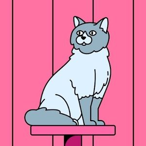 Meet your Posher, Pink